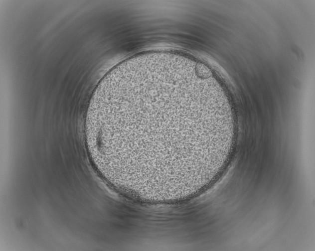 X0000110871329200907301405