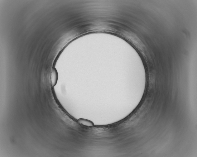 X0000110871330200907301405