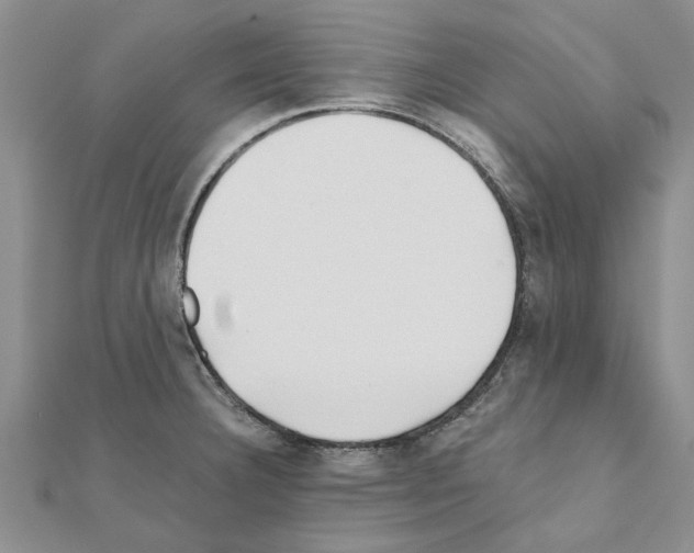 X0000110871332200907301405