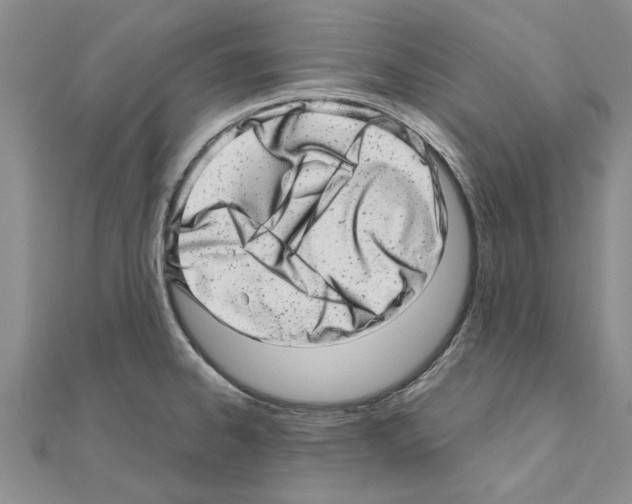 X0000110871334200907301405