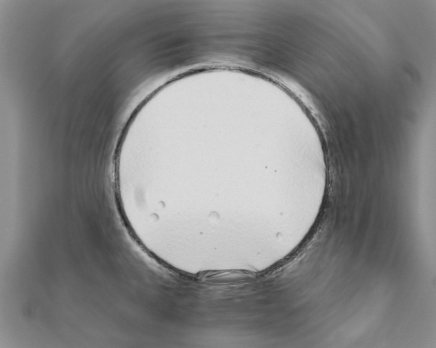 X0000110871335200907301405