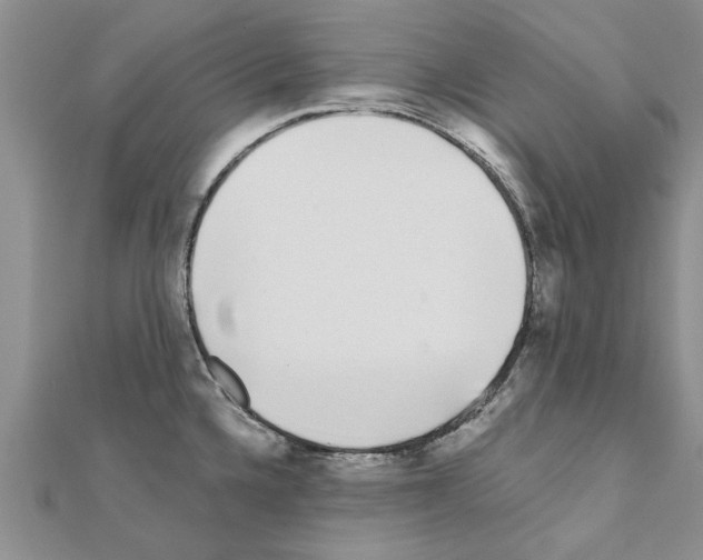 X0000110871336200907301405