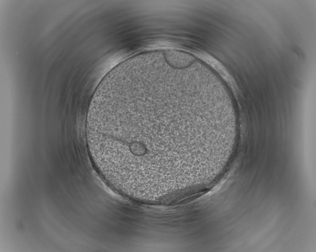 X0000110871337200907301405