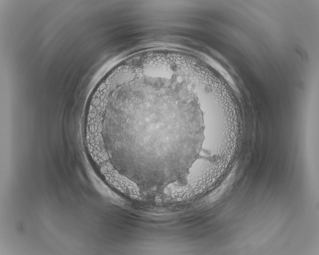 X0000110871338200907301405