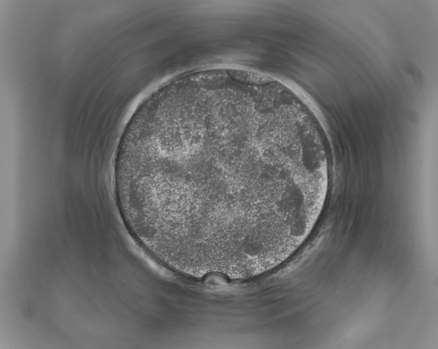 X0000110871341200907301405