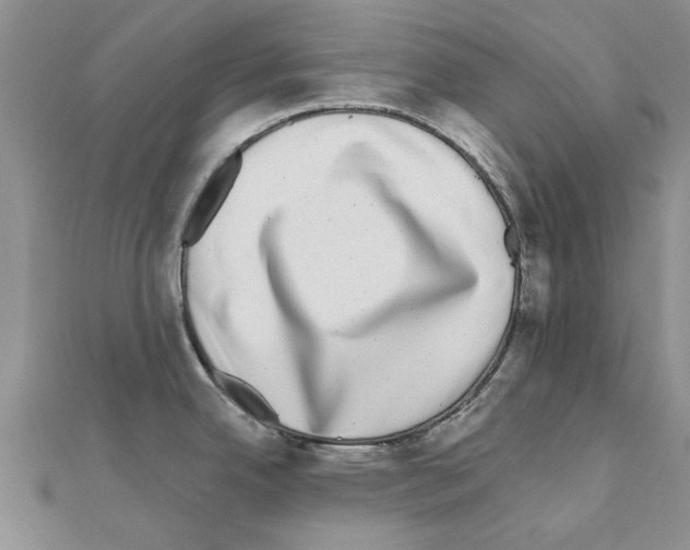 X0000110871342200907301405