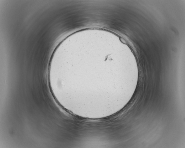 X0000110871343200907301405