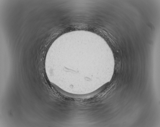 X0000110871345200907301404