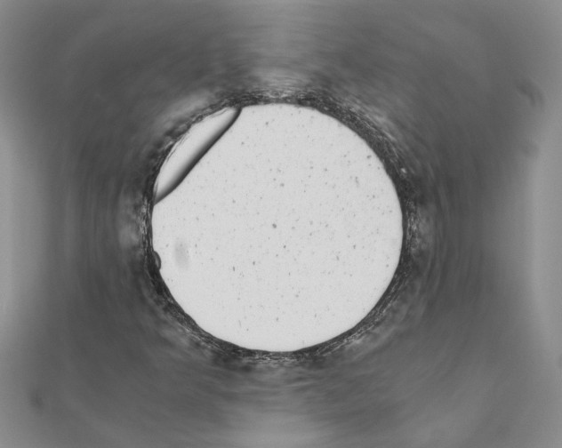 X0000110871349200907301404