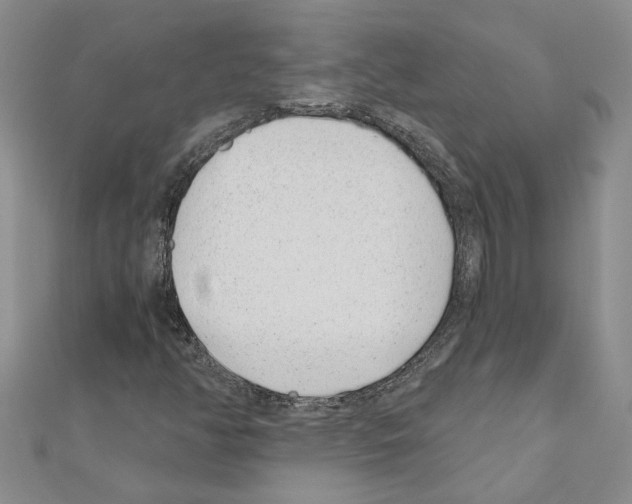 X0000110871350200907301404