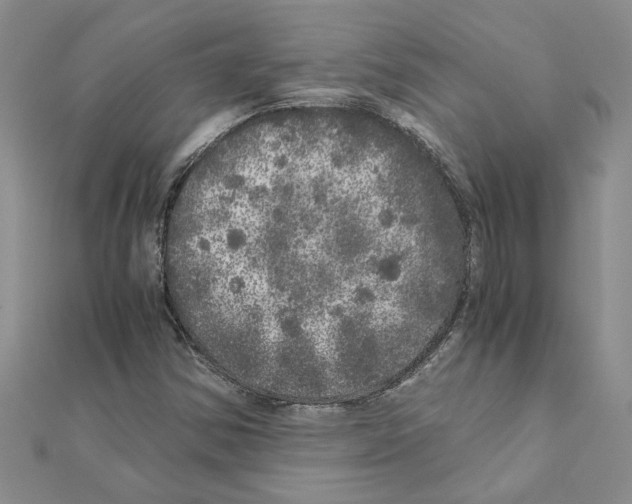 X0000110871354200907301404