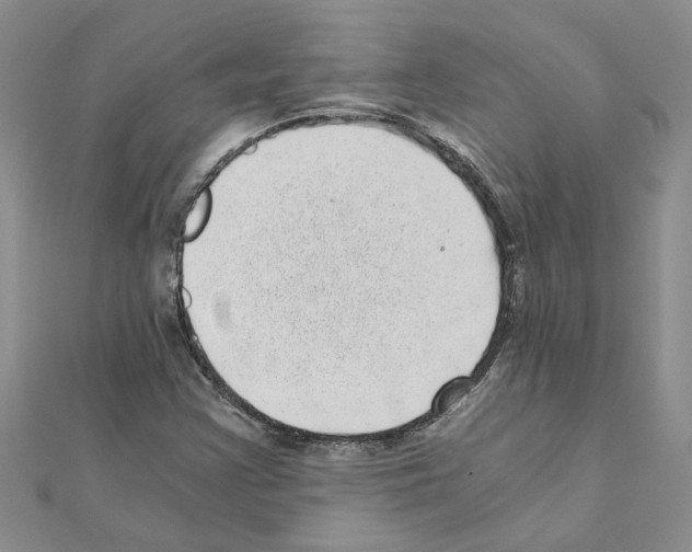 X0000110871355200907301404