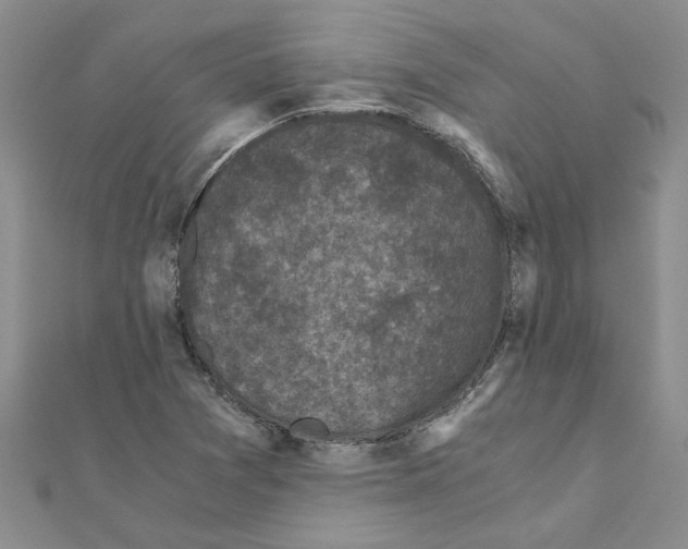 X0000110871361200907301404