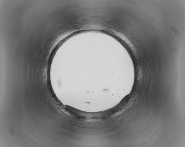 X0000110871364200907301404