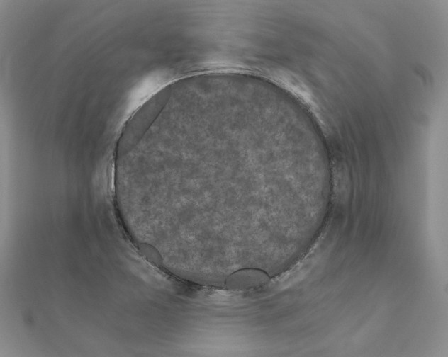 X0000110871365200907301404