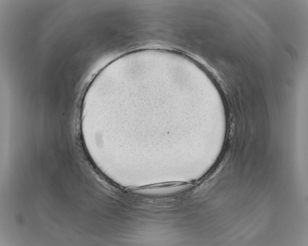 X0000110871367200907301404