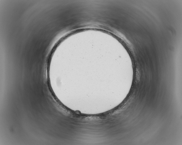 X0000110871368200907301404