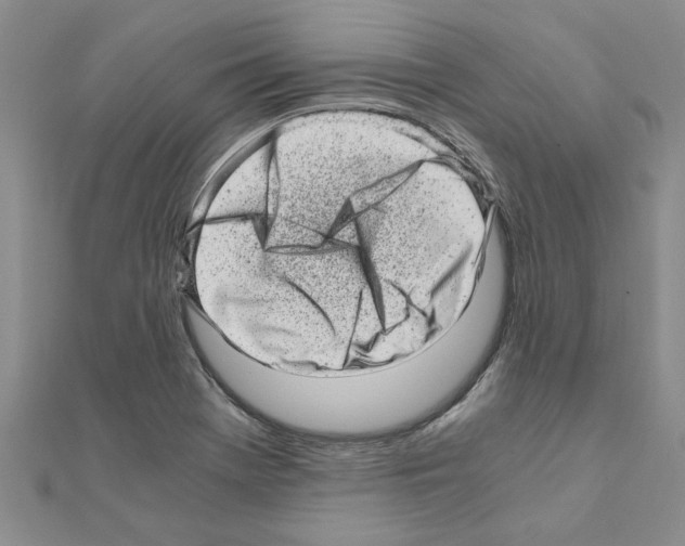 X0000110871369200907301404