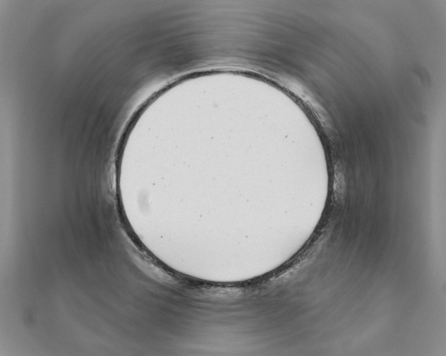 X0000110871372200907301404