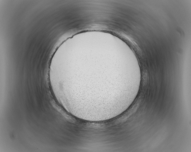 X0000110871374200907301404