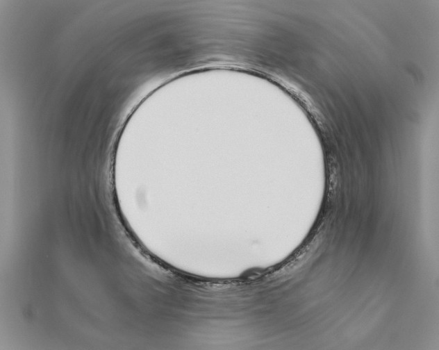 X0000110871375200907301404