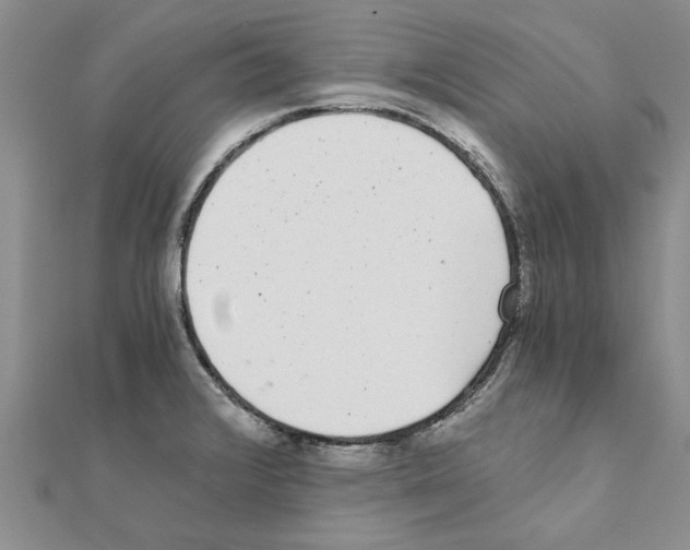 X0000110871376200907301404