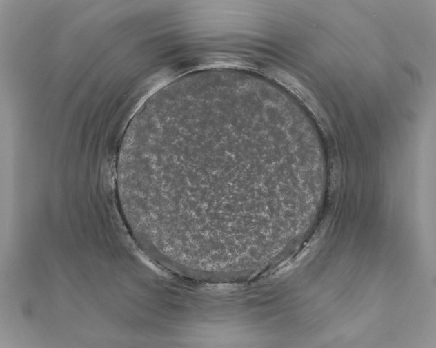 X0000110871377200907301404