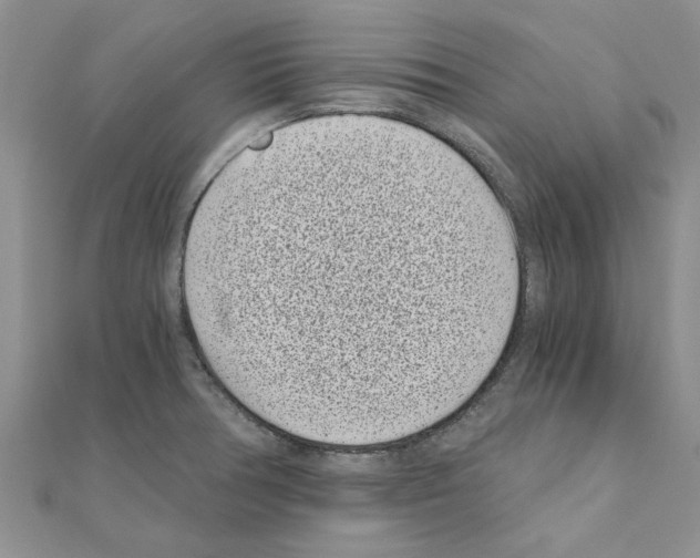 X0000110871378200907301404