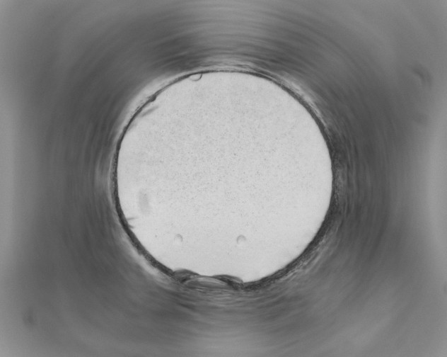 X0000110871379200907301404