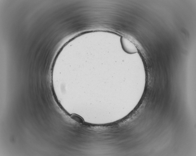 X0000110871380200907301404