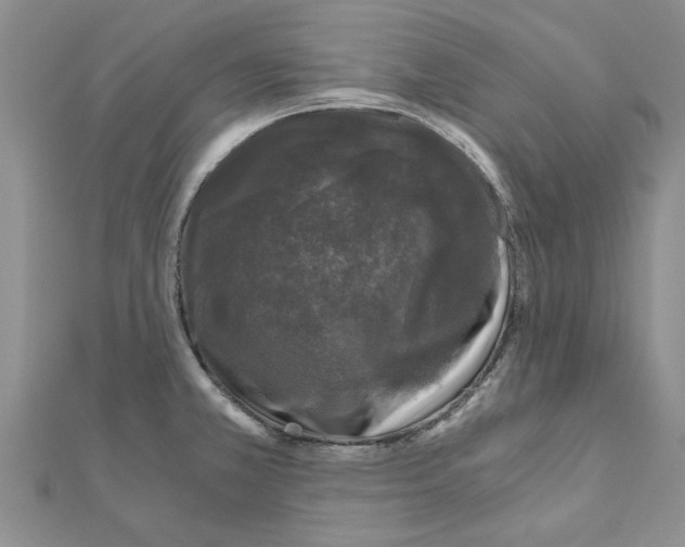 X0000110871381200907301404