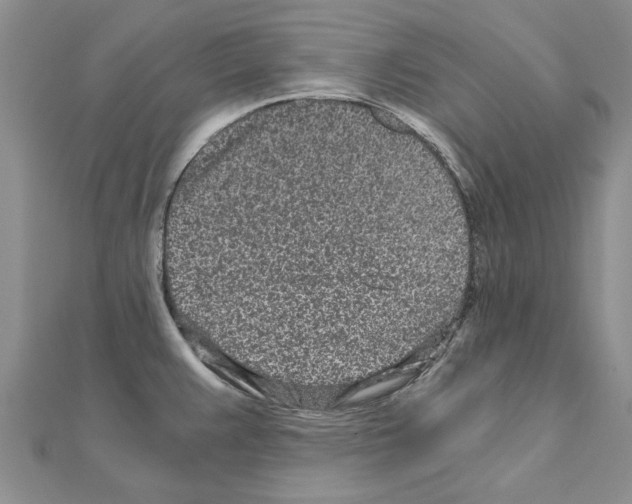 X0000110871383200907301404