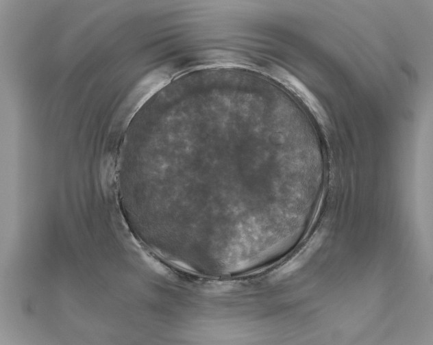 X0000110871385200907301404