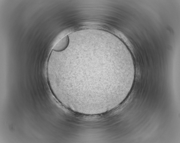 X0000110871386200907301404