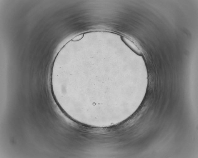 X0000110871387200907301404