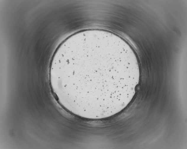 X0000110871388200907301404