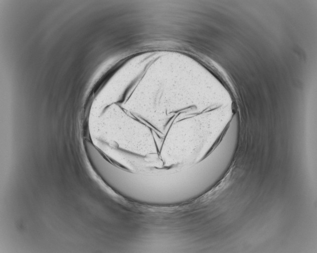 X0000110871389200907301404