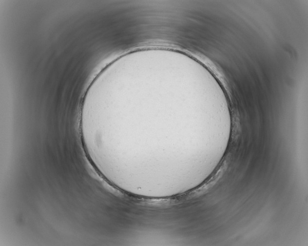 X0000110871390200907301404