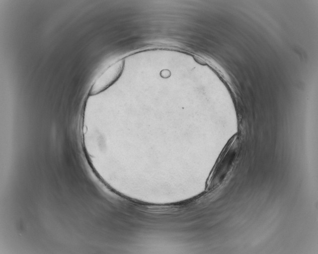 X0000110871391200907301404