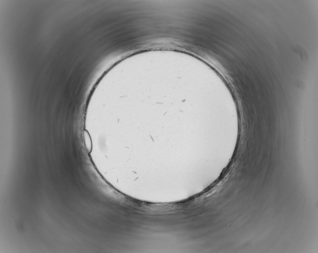 X0000110871392200907301404