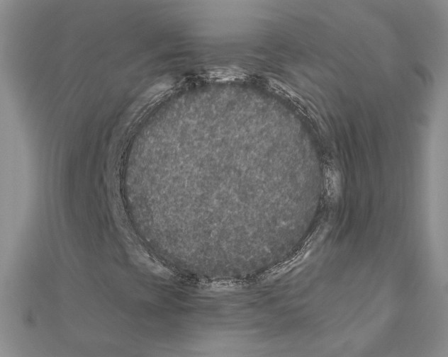 X0000110871393200907301403