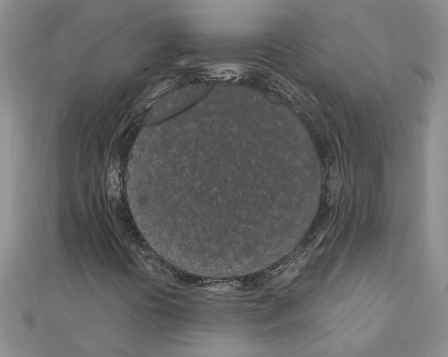 X0000110871394200907301403