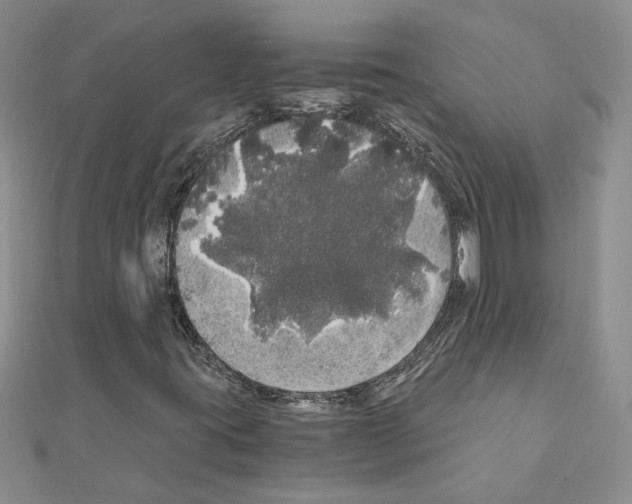 X0000110871395200907301403