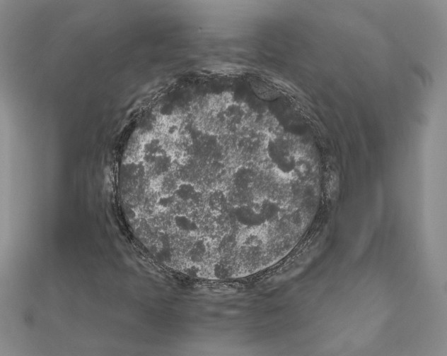 X0000110871397200907301403