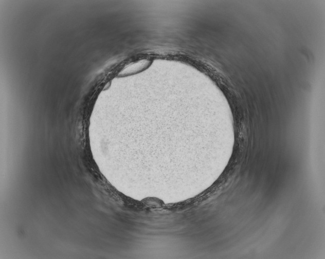 X0000110871398200907301403