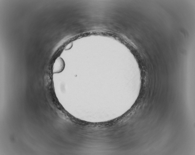 X0000110871400200907301403