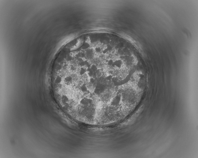 X0000110871405200907301403