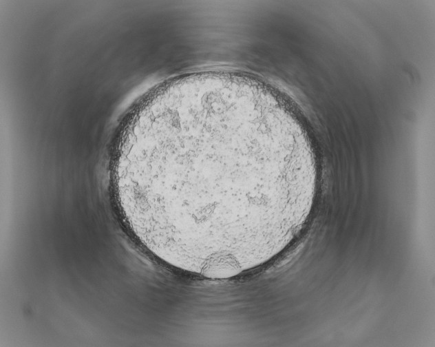 X0000110871406200907301403