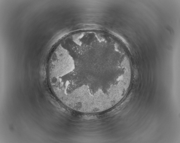 X0000110871407200907301403