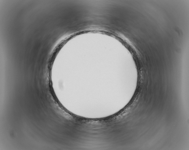 X0000110871408200907301403